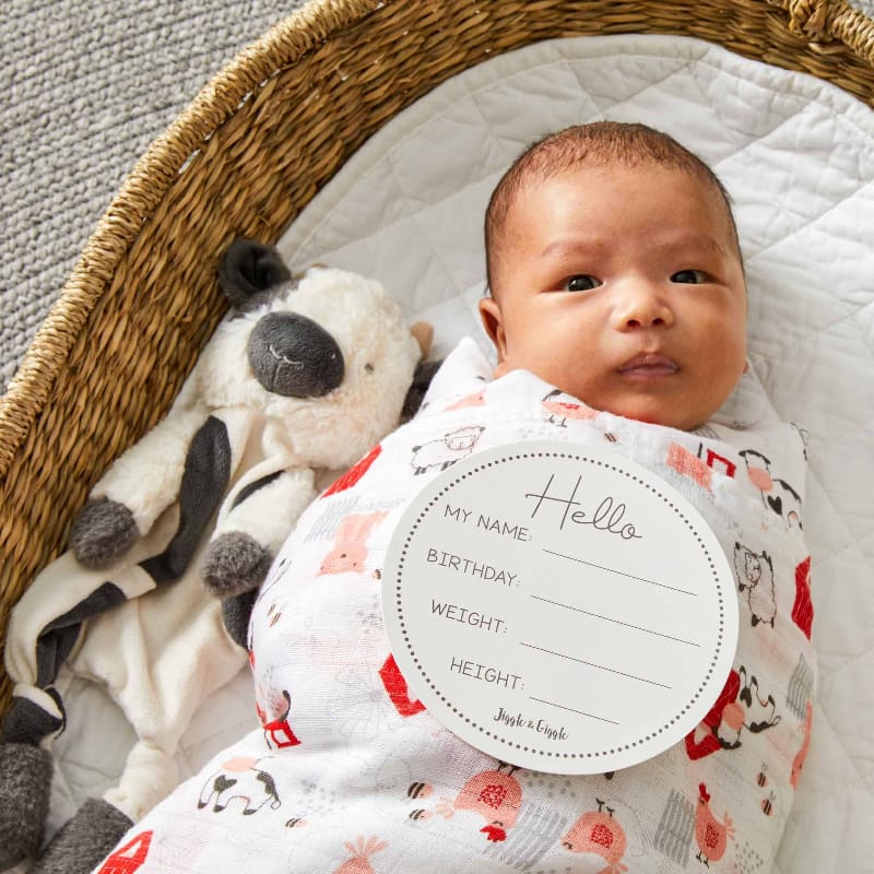 Jiggle & Giggle Baby Soothers Jiggle & Giggle Bertie Cow Comforter - NEW