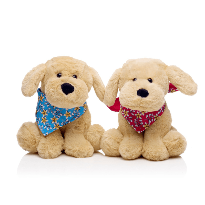 Neuroblastoma Australia frangipani pup