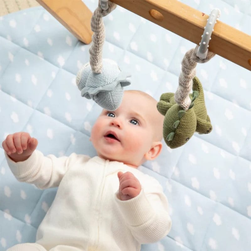 Living Textiles Baby Living Textiles 2 Pack Stroller Toys - Dinosaurs NEW