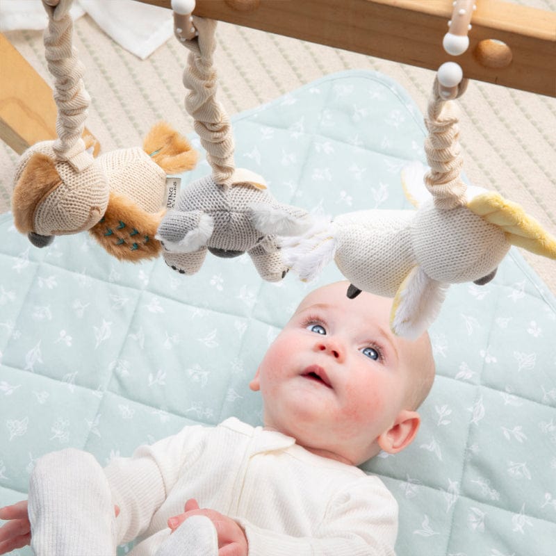Living Textiles Baby Living Textiles 2-Pack Stroller Toys - Koala & Cockatoo - NEW