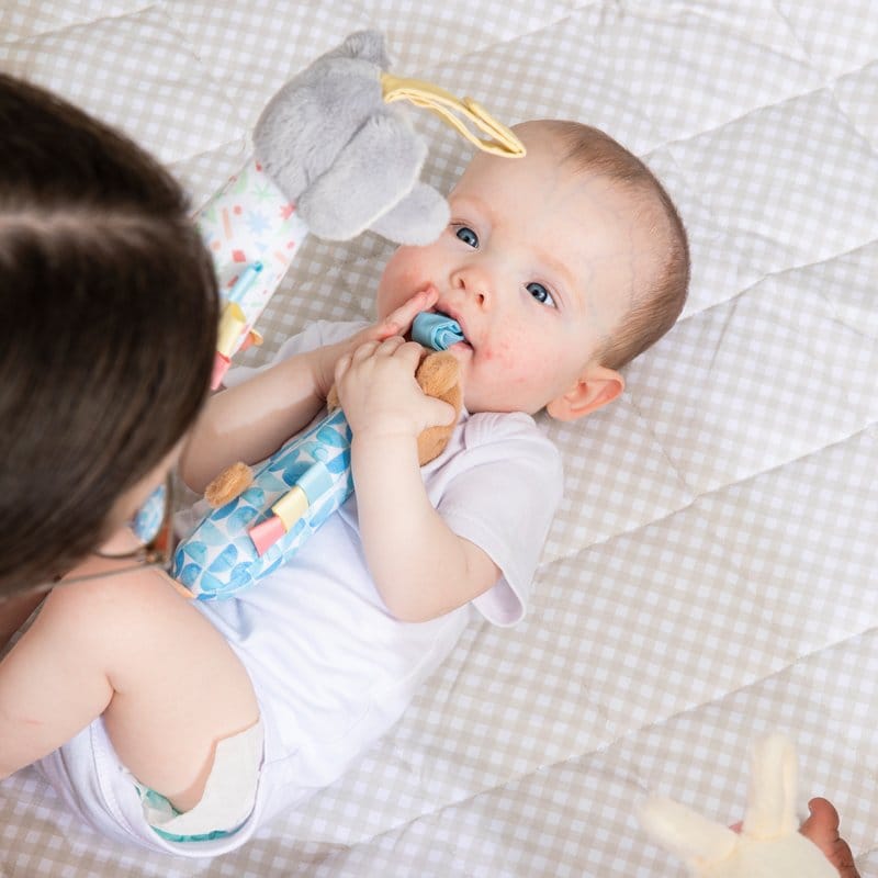 Living Textiles Baby Living Textiles Playground Plus Box 1 - NEW