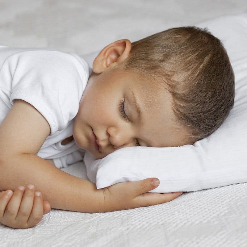 Living Textiles Baby Living Textiles Toddler Pillow - NEW