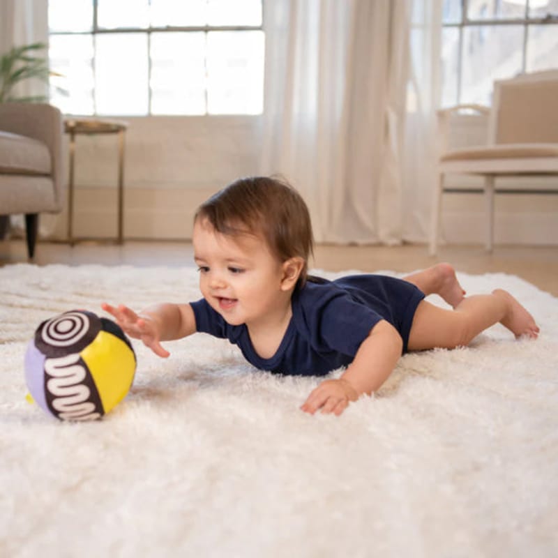 Wimmer-Ferguson Baby Activity Toys Wimmer Sensory Ball - NEW