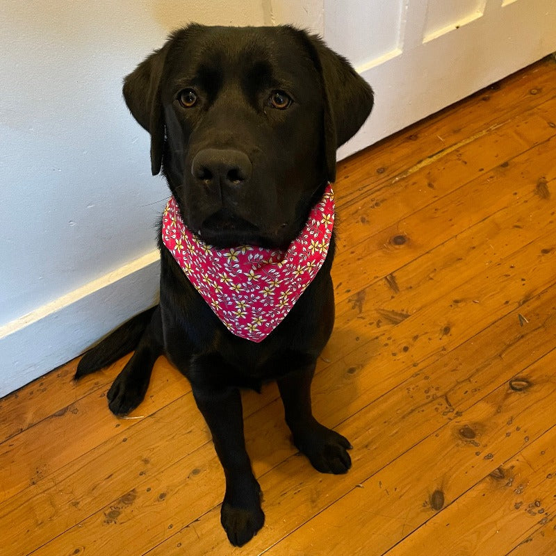 Neuroblastoma Dog Bandana w/Frangipani Pattern (3 Sizes Available) - NEW